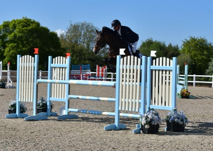 Young Jumping Horses For Sale